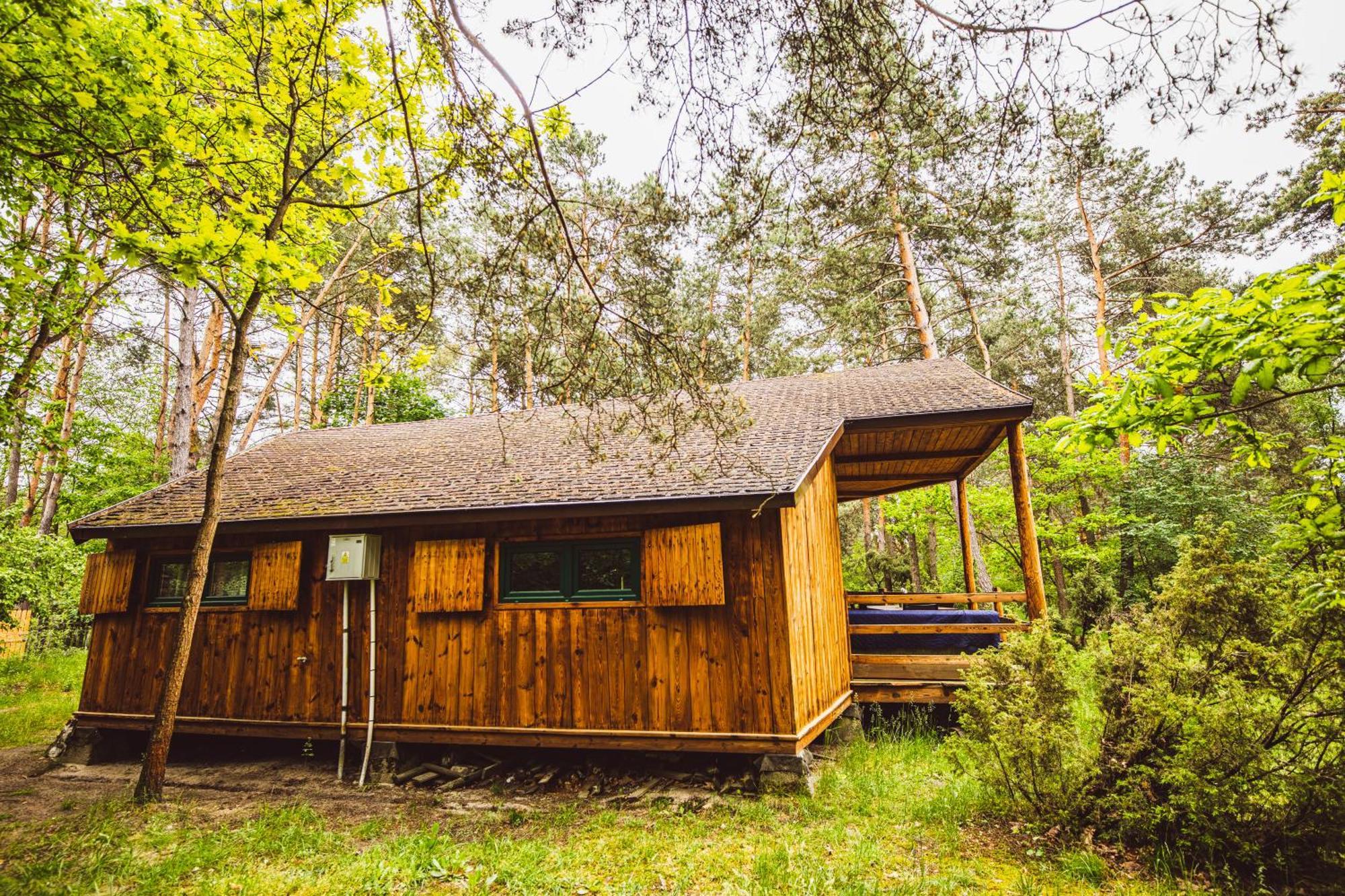 Cozy Nature Retreat With Patio Fireplace Garden Maciejowice Exterior foto